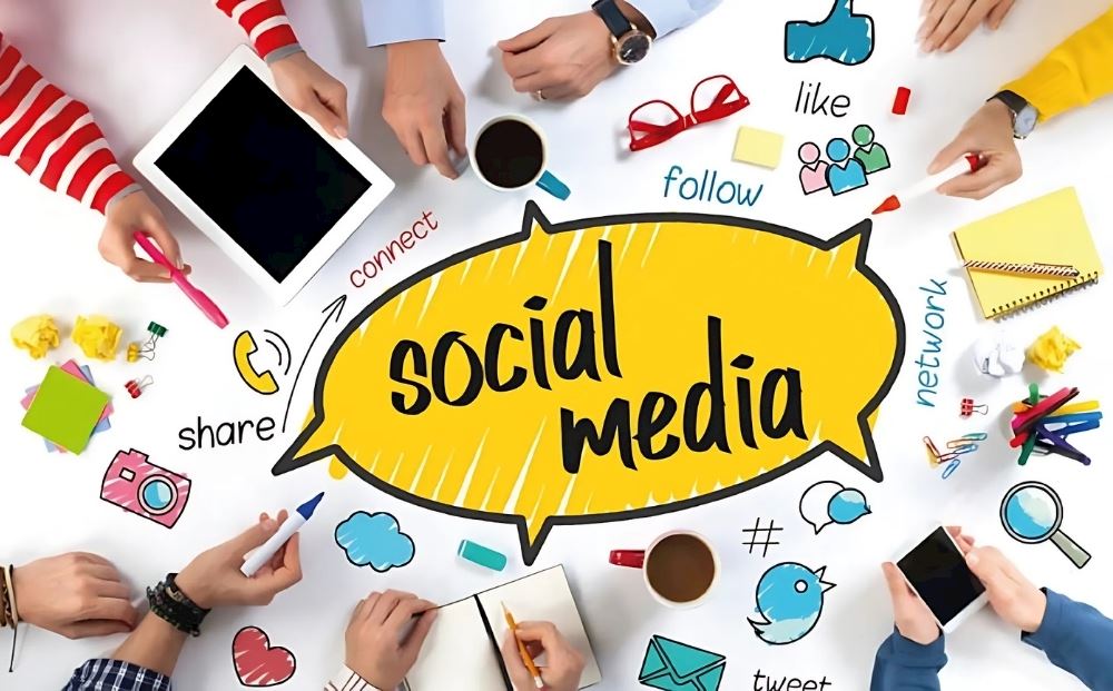 How to Succeed on Which Platform?
